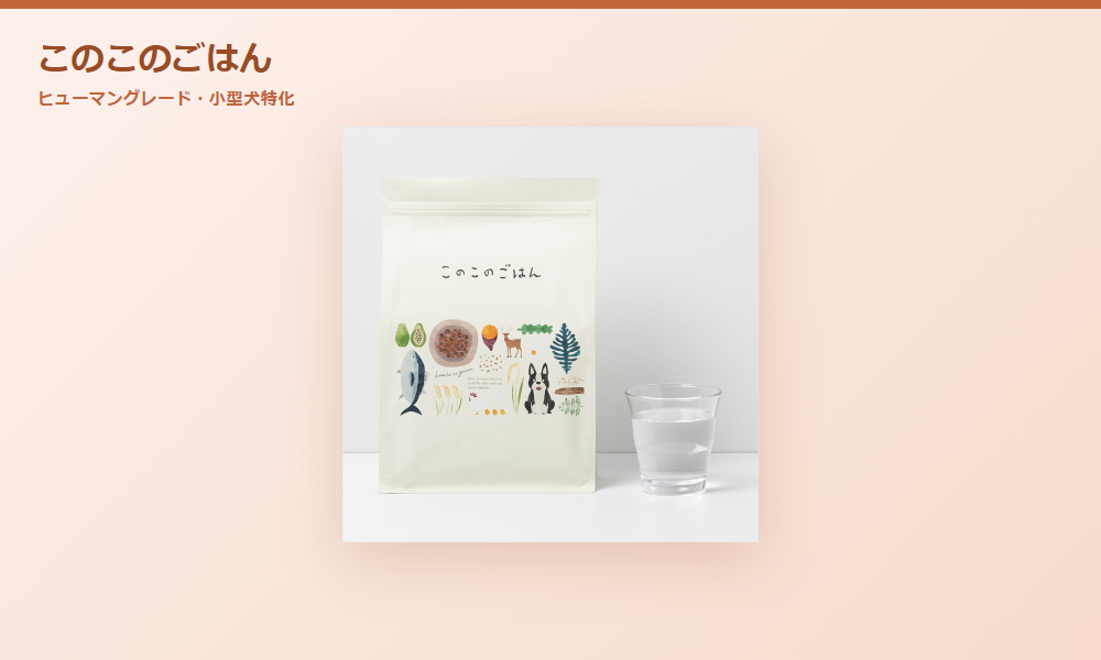 このこのごはん